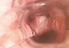 Il video porno amatoriale trans giovane segretario 